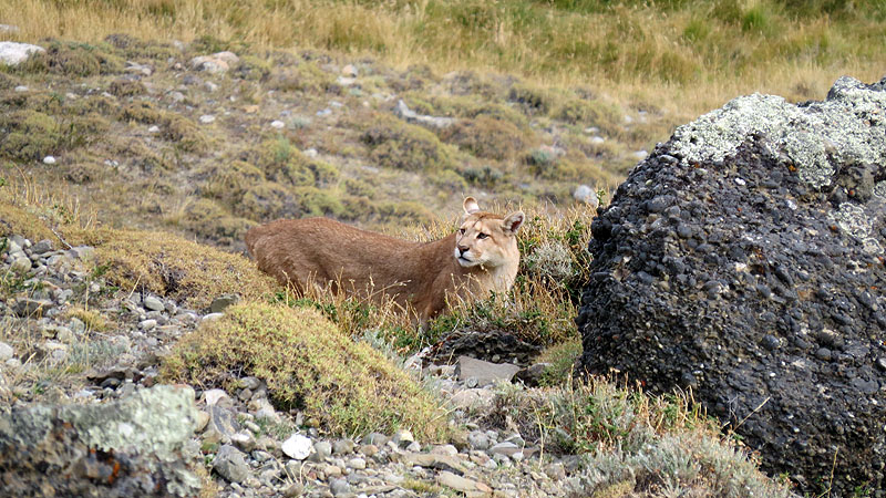 CL0414CB120_torres-del-paine-cazadores-walk.jpg [© Last Frontiers Ltd]