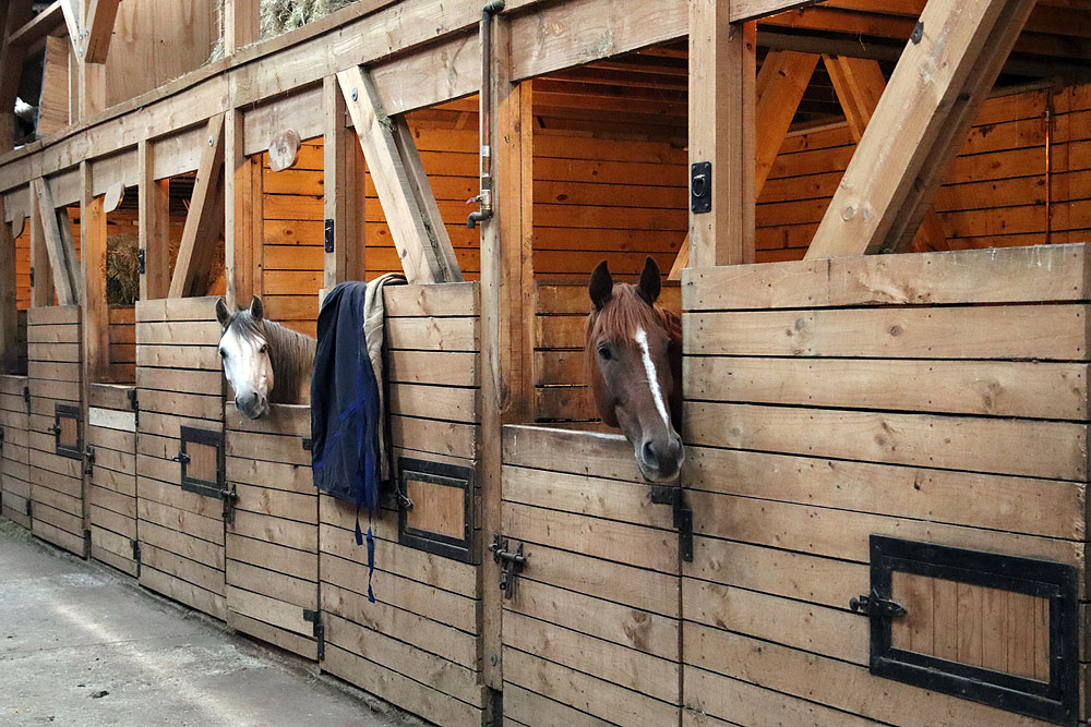 CL0619EP404_explora-patagonia-stables.jpg [© Last Frontiers Ltd]