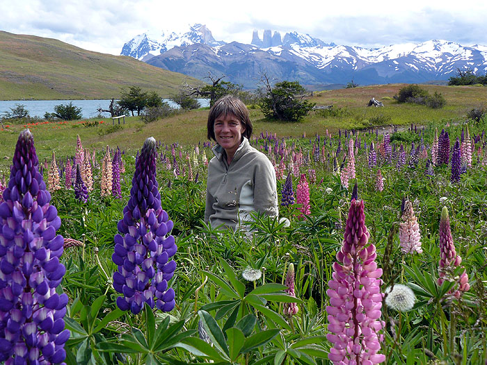 CL1212SM344_torres-del-paine.jpg [© Last Frontiers Ltd]