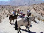 Image: Hacienda Los Andes - La Serena and the Elqui valley