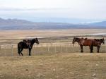 Image: Estancia Cerro Guido - Torres del Paine