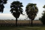 Image: Casa Donoso - Central Andes and wine valleys