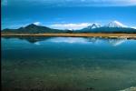 Image: Lauca - Arica and Lauca