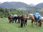 Llanada Grande - Puelo and the Southern Lake District, Chile