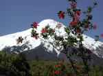 Image: Osorno - Puelo and the Southern Lake District