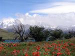 Image: Laguna Azul - Torres del Paine