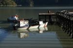 Boats in Tortel