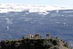 Image: Patagonia Park - Southern Carretera Austral