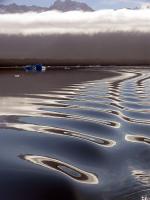 Image: Noctiluca - Northern Carretera Austral, Chile