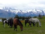 Torres del Paine - Torres del Paine, Chile