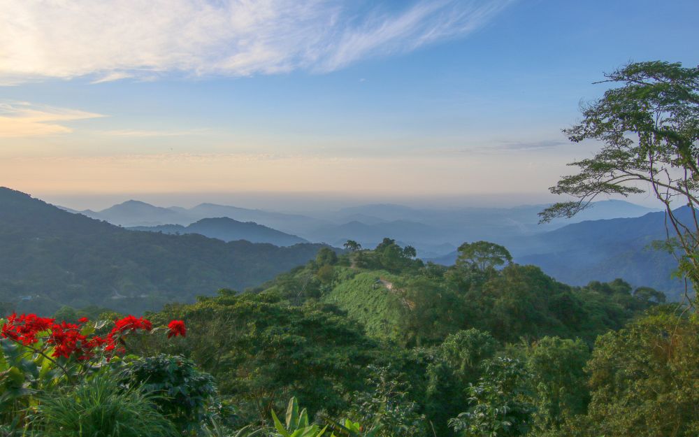 CO2203CO019_casa-oropendola-view.jpg [© Last Frontiers Ltd]