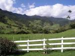 Image: Bosque Cocora - The coffee region