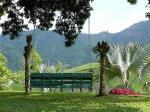 Image: Casa San Carlos Lodge - The coffee region, Colombia