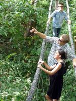 Canopy walkway near Santa Marta