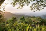 Image: Casa Oropendola - Santa Marta and Tayrona, Colombia