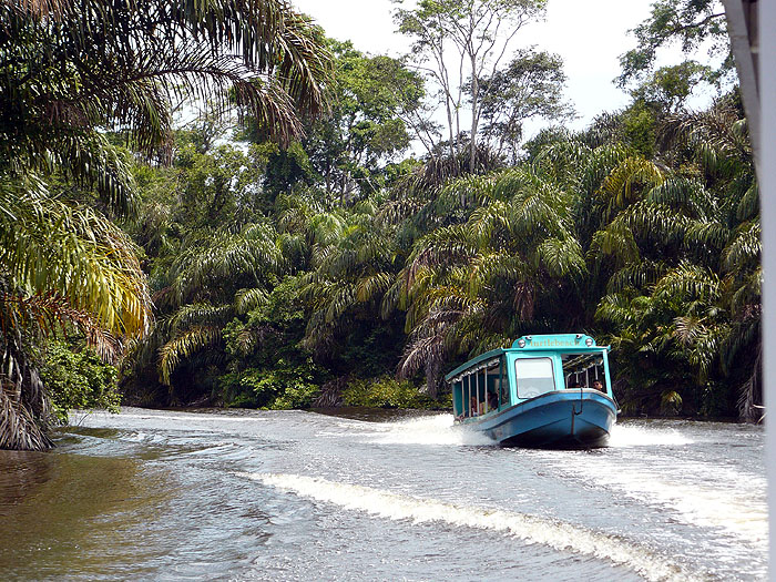 CR0508SM106_tortuguero.jpg [© Last Frontiers Ltd]