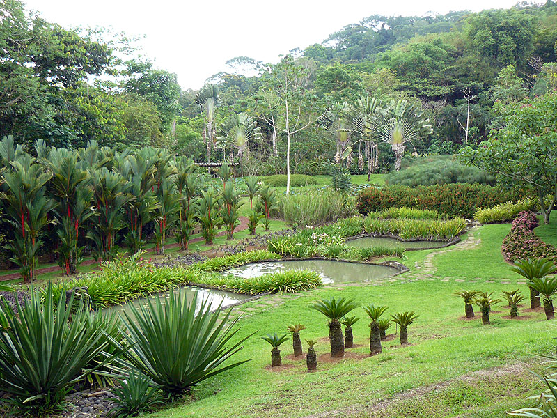 CR0516NL105_macaw-lodge-garden.jpg [© Last Frontiers Ltd]