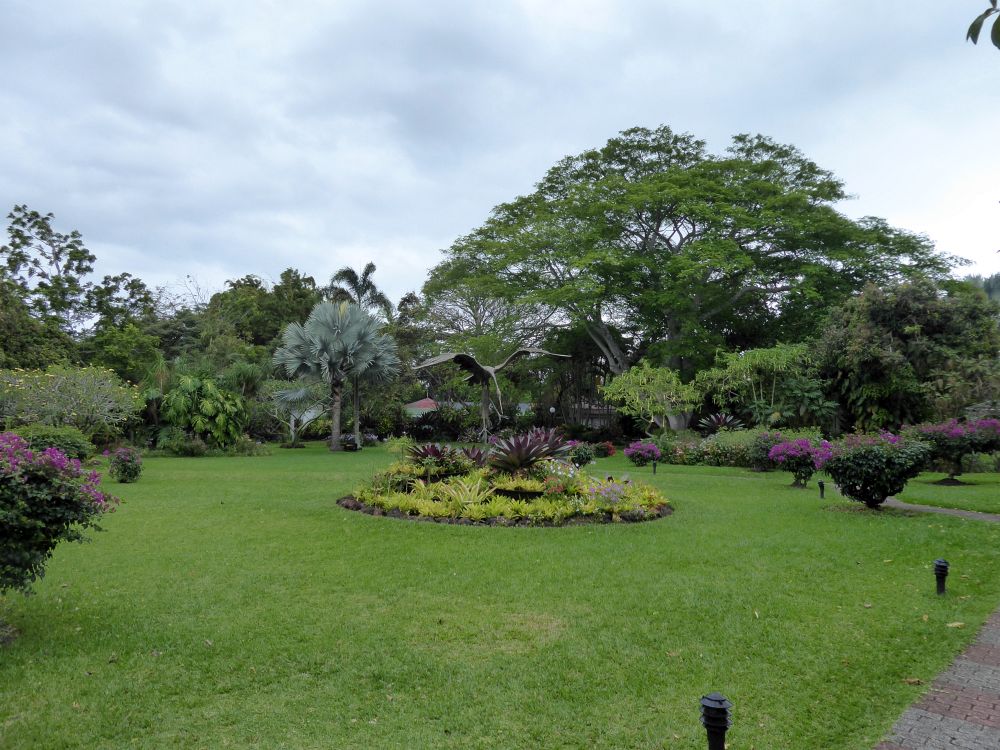 CR2305ER006_san-jose-bougainvillea.jpg [© Last Frontiers Ltd]