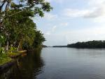 Image: Manatus Lodge - Tortuguero