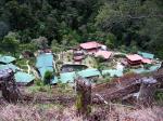 Image: Trogon Lodge - San Gerardo de Dota