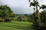 Image: Aquiares Coffee Estate - The Central highlands, Costa Rica