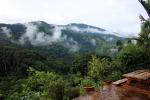 Image: Santa Juana Lodge - Manuel Antonio and Uvita, Costa Rica