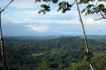 Image: Santa Juana Lodge - Manuel Antonio and Uvita