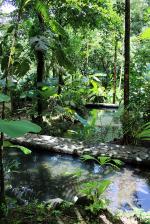 Image: Santa Juana Lodge - Manuel Antonio and Uvita, Costa Rica