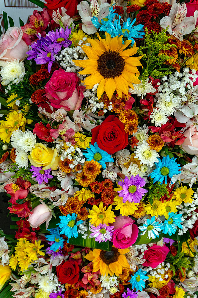 EC1018HG060_guayaquil-flower-market.jpg [© Last Frontiers Ltd]