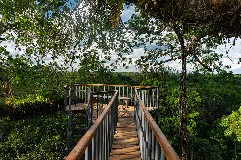 EC1018HG535_sacha-lodge-canopy-tower.jpg [© Last Frontiers Ltd]