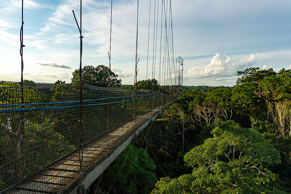 EC1018HG539_sacha-lodge-canopy-tower.jpg [© Last Frontiers Ltd]