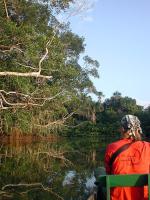 Image: La Selva - The Amazon