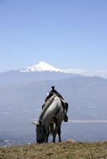 Image: Cayambe - Quito