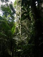 Image: Napo Wildlife Center - The Amazon, Ecuador