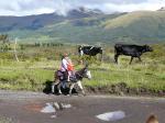 Image: Hosteria Chilcabamba - Cotopaxi and Papallacta