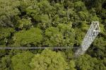 Image: Sacha Lodge - The Amazon, Ecuador