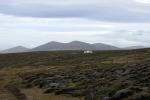 Image: The Rookery - West Falkland, Falkland Islands