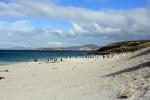 Image: Carcass Island - West Falkland