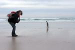 Image: Volunteer Point - East Falkland