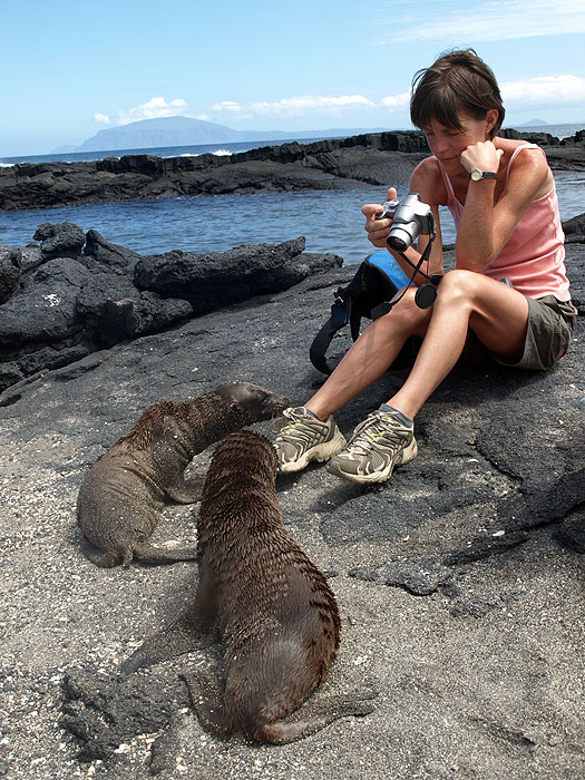 GP0310SL_fernandina-sue-with-sea-lions.jpg [© Last Frontiers Ltd]