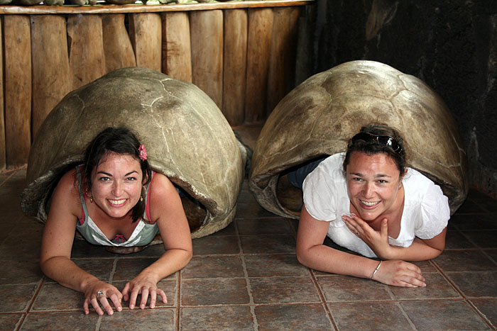 GP0608ED445_santa-cruz-highlands-giant-tortoise-shells.jpg [© Last Frontiers Ltd]