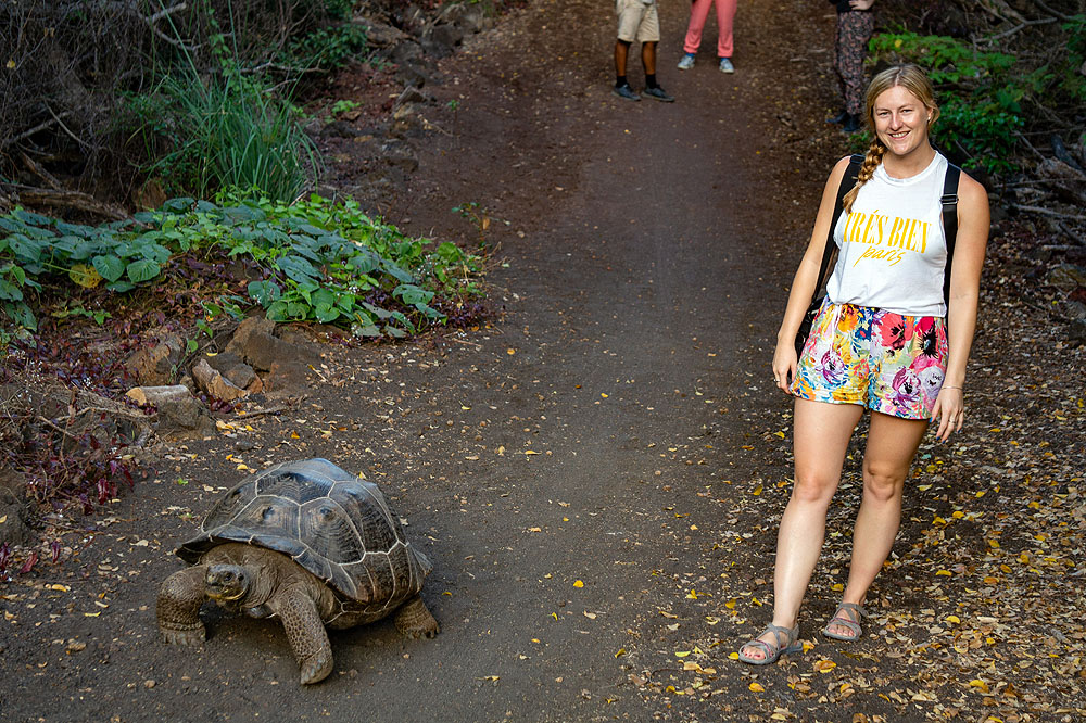 GP1018HG357_isabela-giant-tortoise.jpg [© Last Frontiers Ltd]