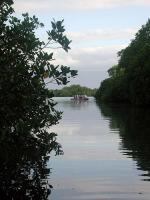 Image: Elizabeth Bay - Isabela (Albermarle)