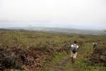 Image: Sierra Negra volcano - Isabela (Albermarle)