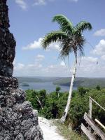 Image: Yaxh - Petn and the North, Guatemala