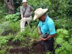 As Green as it Gets - Antigua and Guatemala City, Guatemala