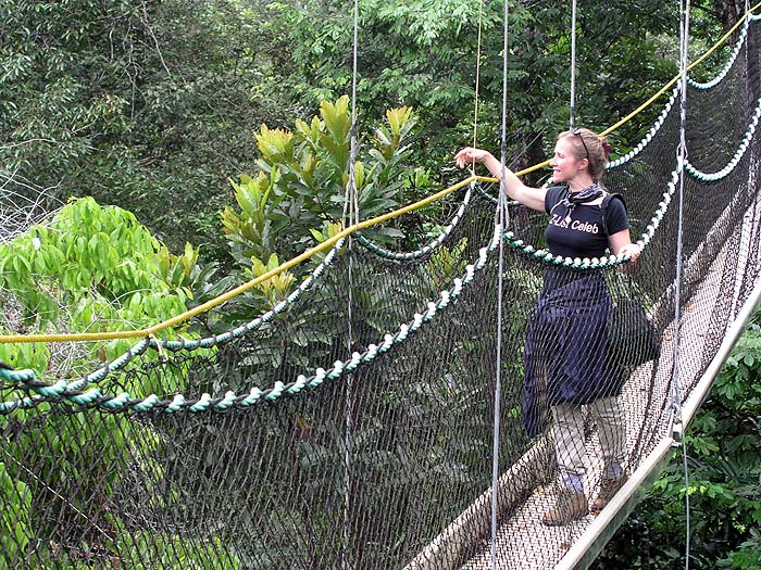 GY0504EP036_iwokrama_canopy.jpg [© Last Frontiers Ltd]