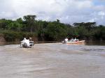 Image: Karanambu - The Rupununi savannas, Guianas