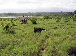 Image: Karanambu - The Rupununi savannas