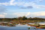 Karanambu - The Rupununi savannas, Guianas